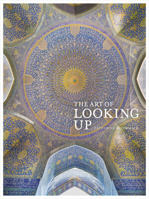 cover image of The Art of Looking Up